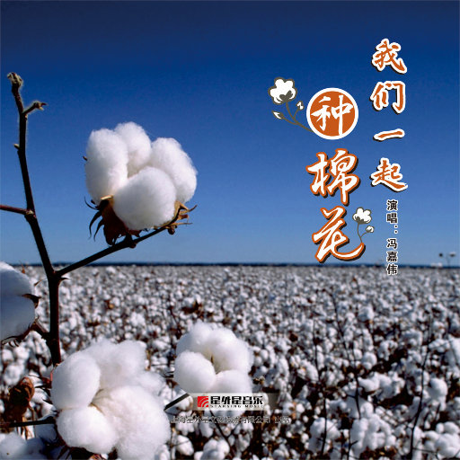 黄片无码免费看
